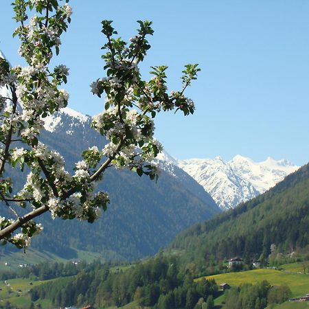 Schottenhof Fulpmes Exteriér fotografie