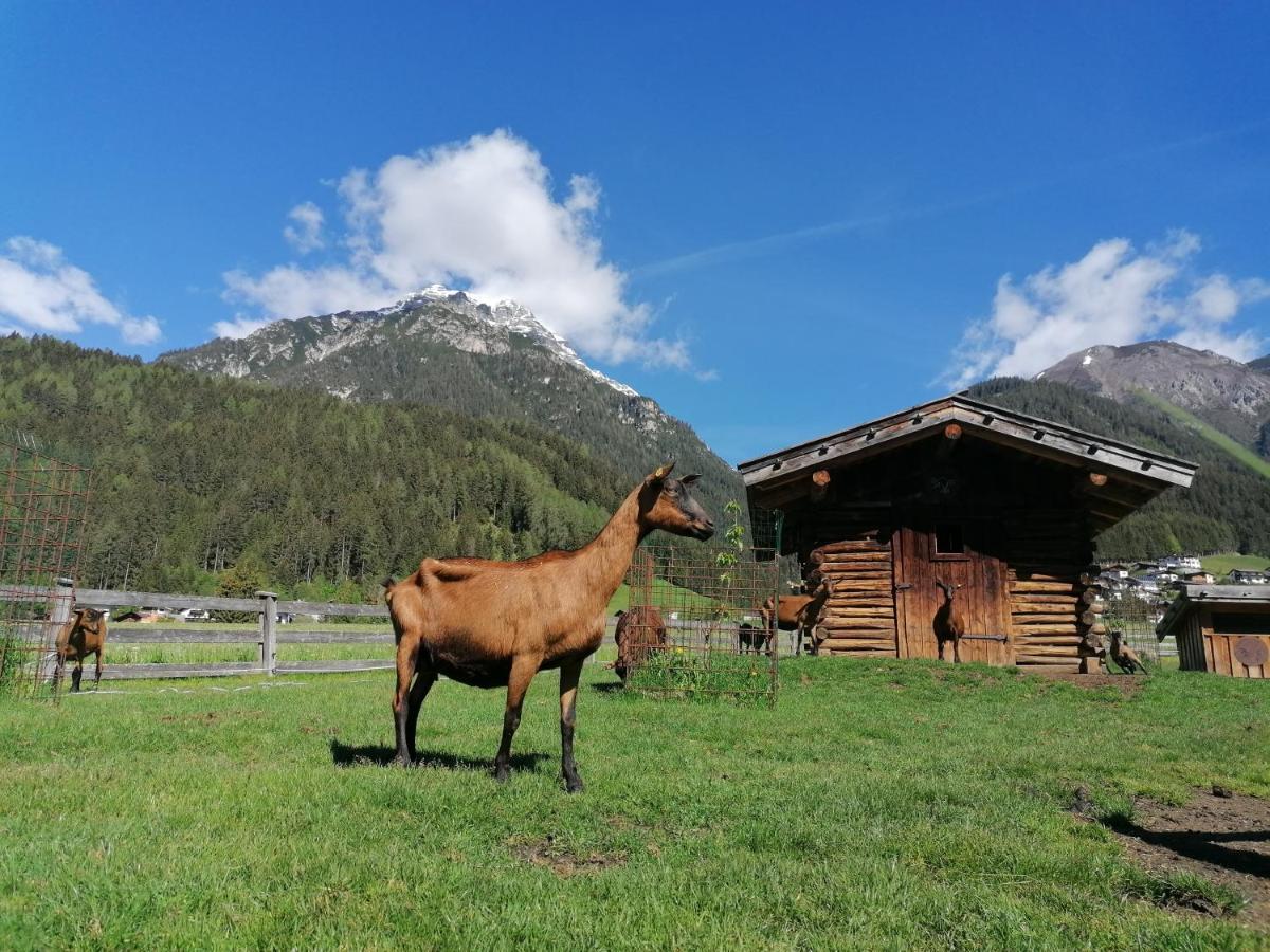 Schottenhof Fulpmes Exteriér fotografie