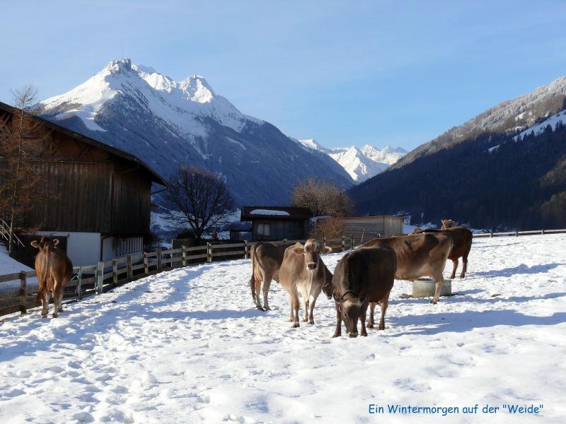 Schottenhof Fulpmes Exteriér fotografie