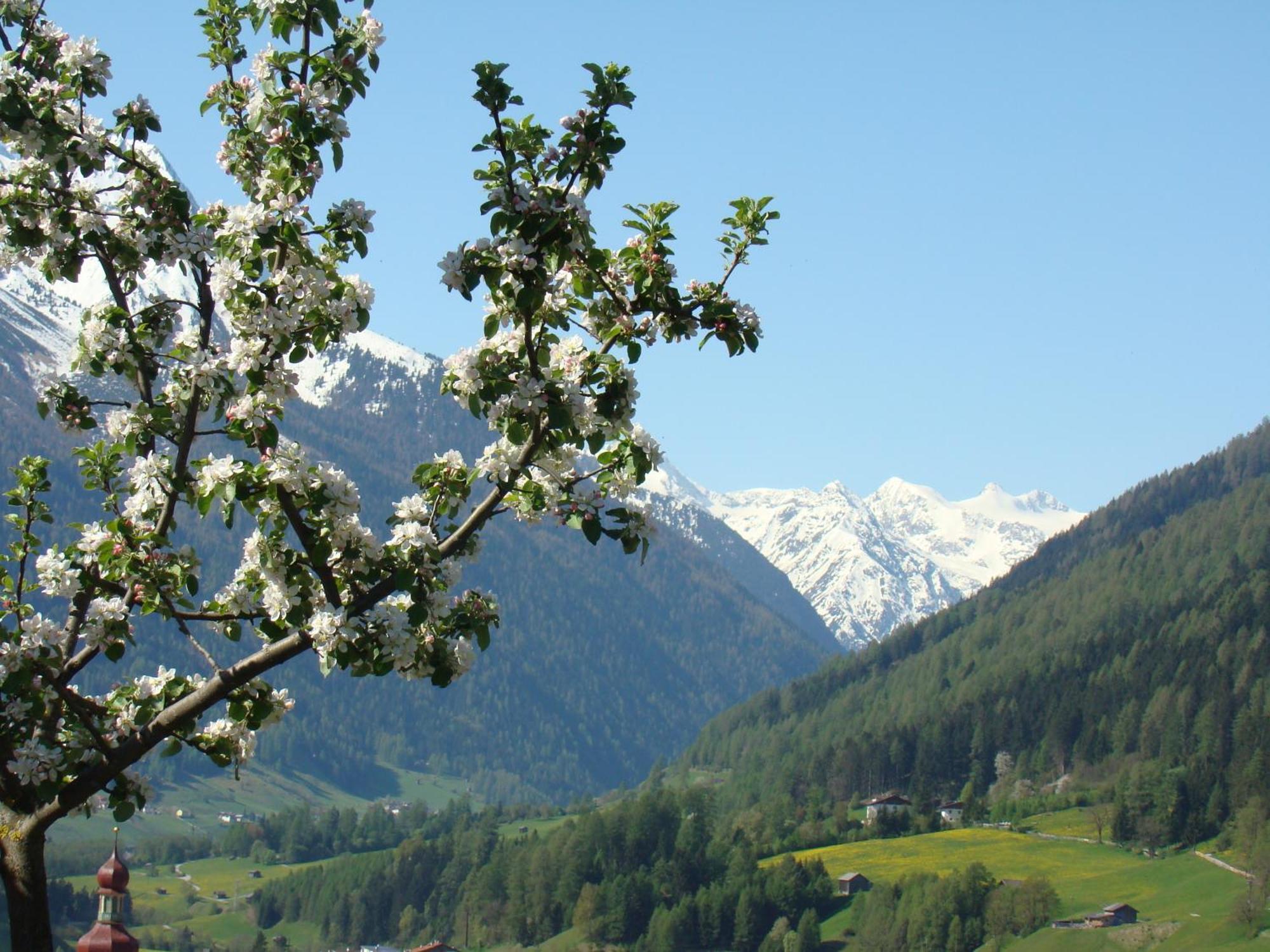 Schottenhof Fulpmes Exteriér fotografie