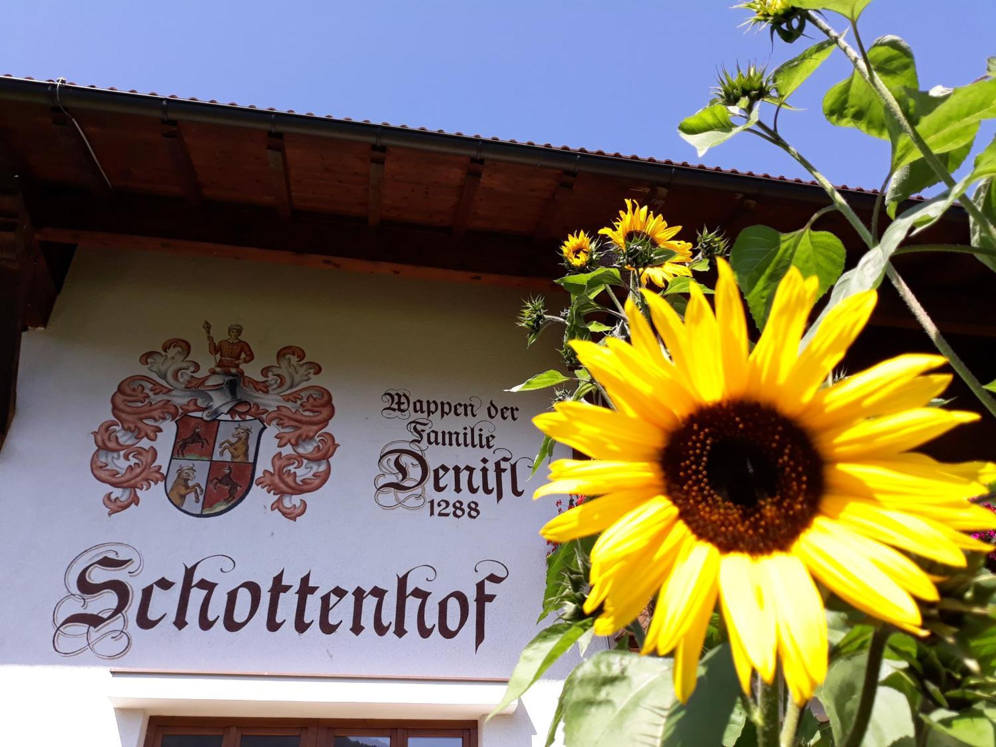 Schottenhof Fulpmes Exteriér fotografie