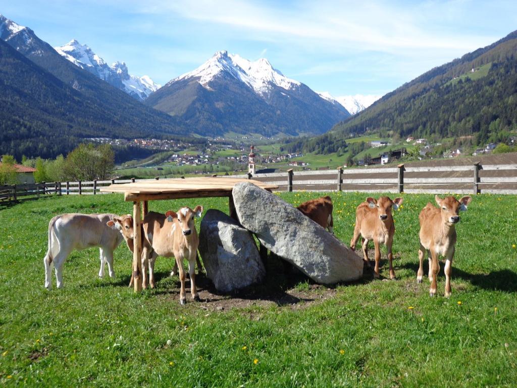 Schottenhof Fulpmes Exteriér fotografie